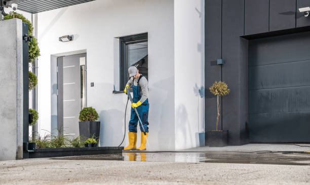 Best Driveway Pressure Washing  in Lolo, MT